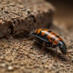 Pest Extermination Plans for HOAs