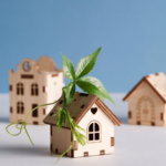 Small Sustainable Upgrades