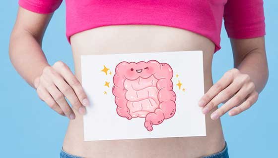Digestion