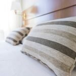 Bed Bug Solutions