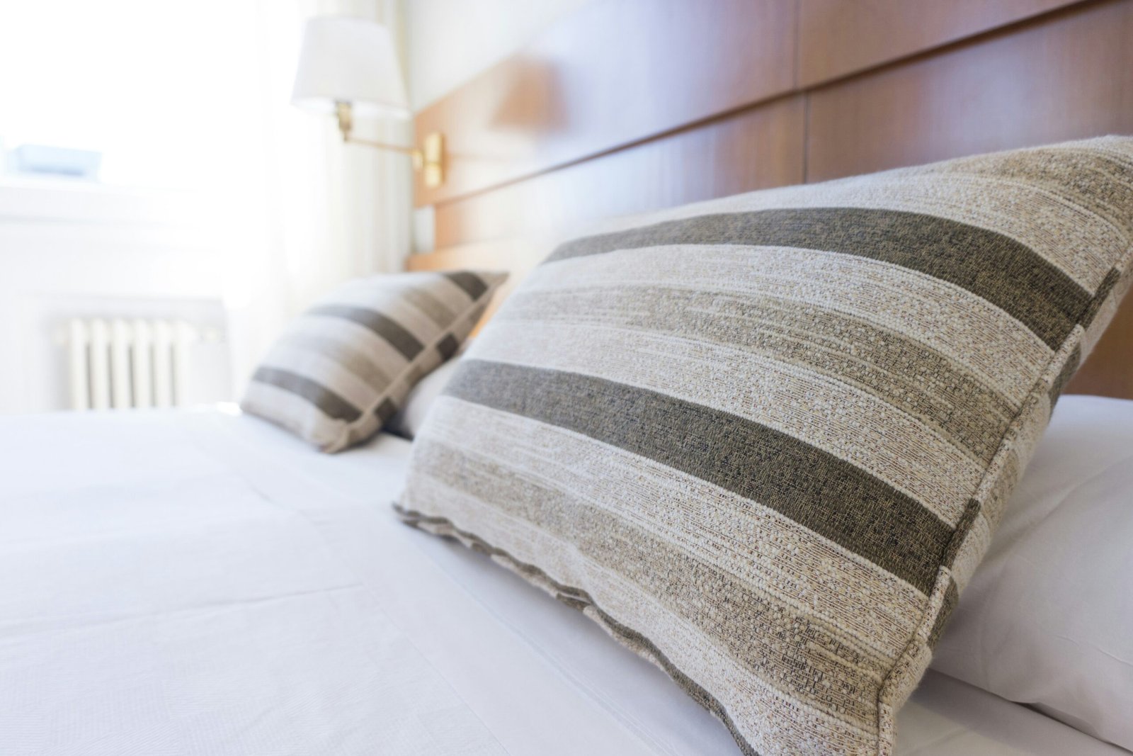Bed Bug Solutions